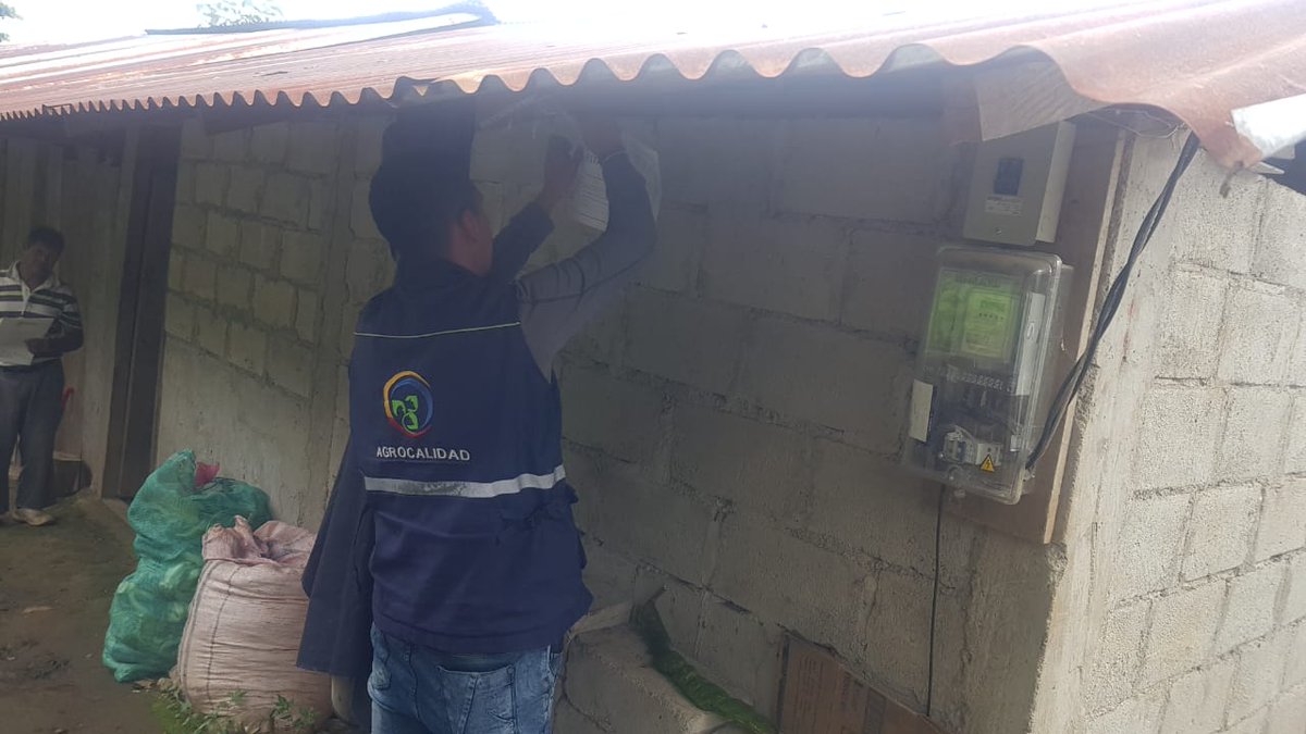 AgrocalidadZ1's tweet photo. #Carchi | #Agrocalidad realizó monitoreo de musáceas a fincas en el sector de El Chical #AgroProtegido🇪🇨 https://t.co/lBqUHwWQ6j