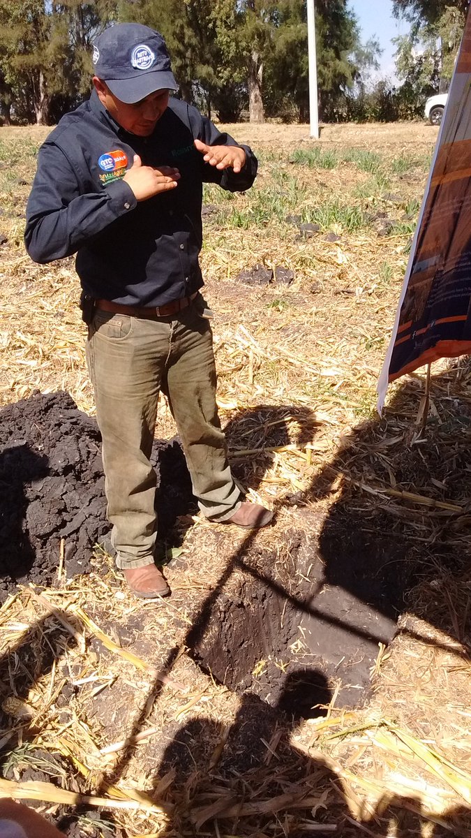 engtoextension's tweet photo. La importancia del diagnóstico de parcela, como dictamen de establecer o continuar con la #AC como lo indica el agente de cambio @MasAgro en Valle de Santiago, Gto. @ACCIMMYT @MasAgroGto @SDAyR_GTO @pepegmichel https://t.co/arSwgcMuQX