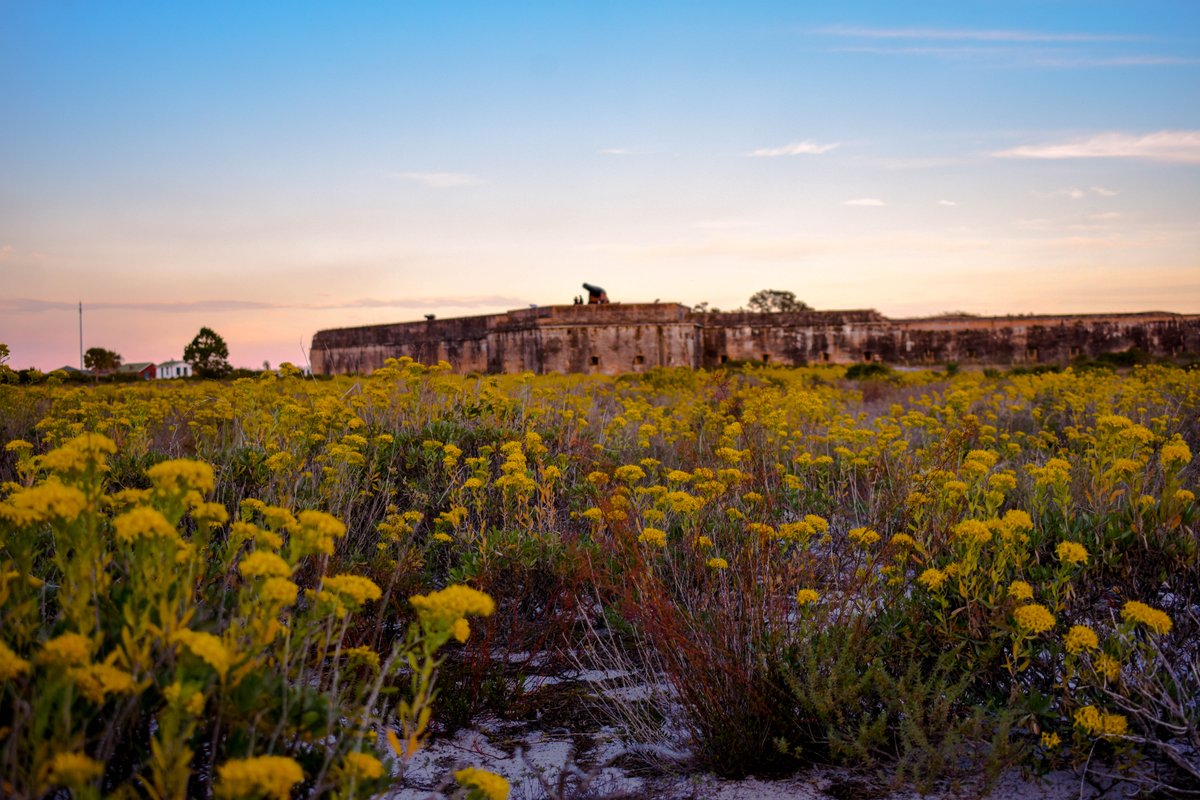 GulfIslandsNPS's tweet photo. Golden Rod/ Golden Hour
Image of a sunset at Fort Pickens: NPS/ Breault
#GulfIslandsNS #NationalParks #FindYourSunset #SunsetSunday https://t.co/nhjKHZXAJi