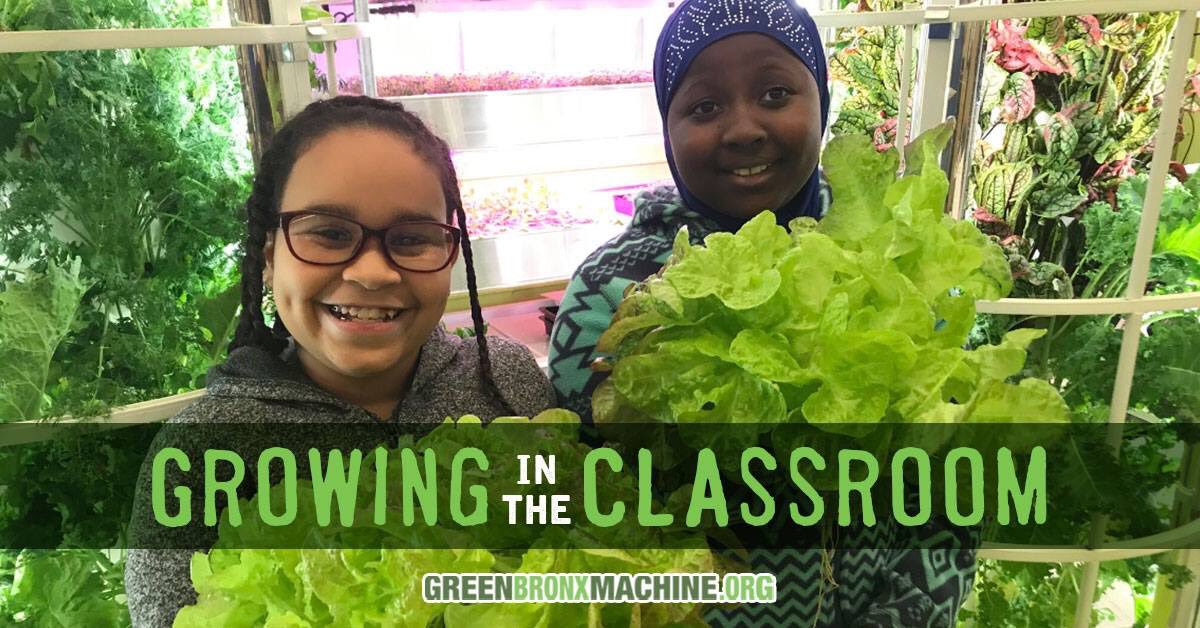 Green Bronx Machine tweet media