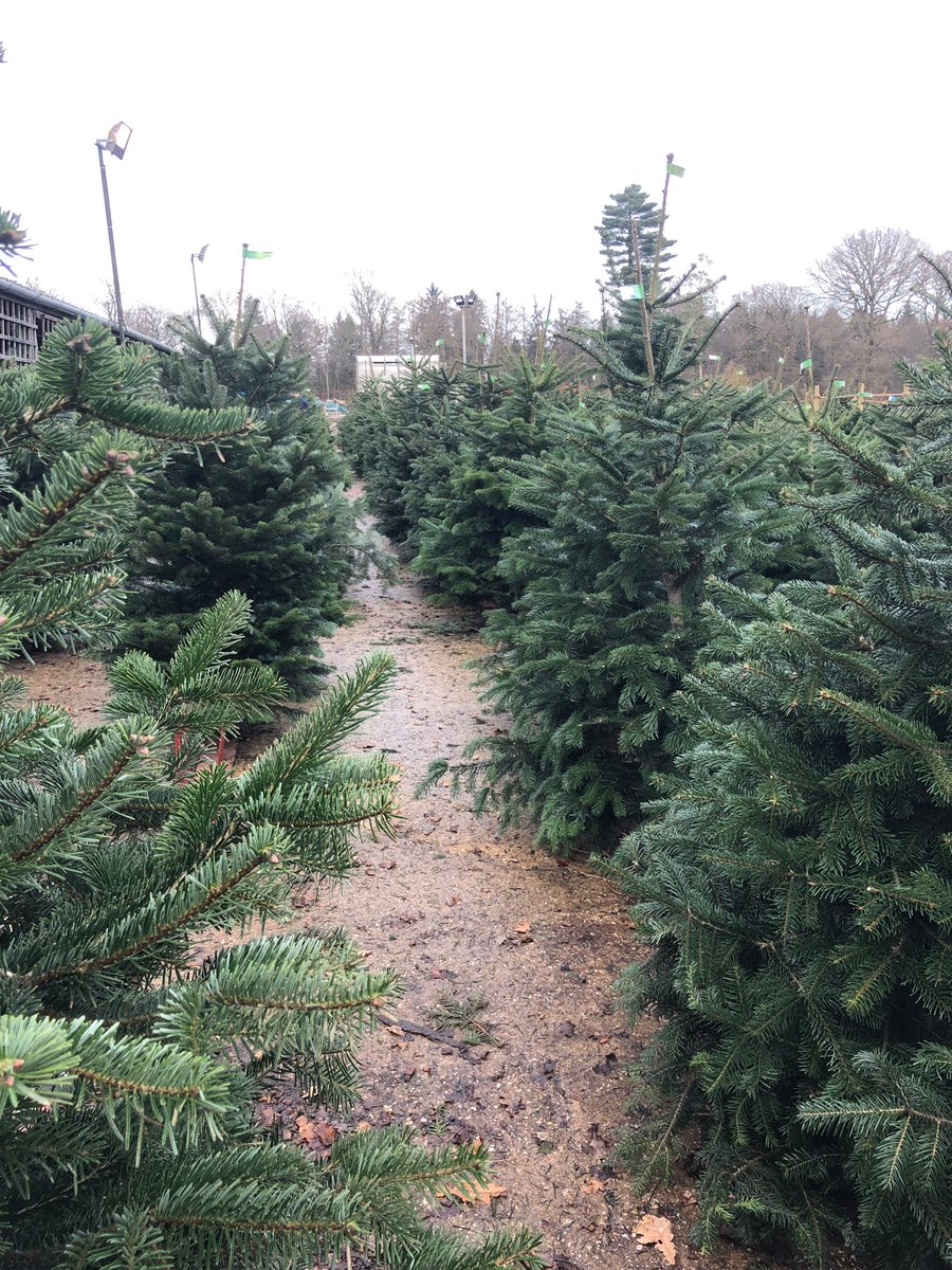 ✨Sarah ✨ tweet media