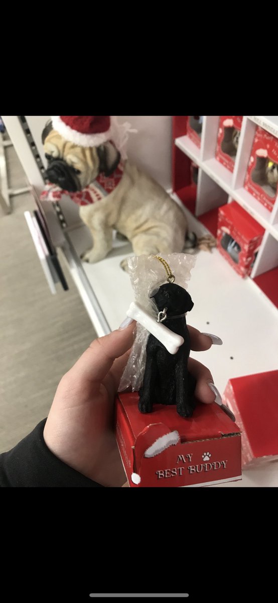 rachhellynn's tweet photo. I know for a fact my mom gives Alexa a nice chunk of $ to go Xmas shopping for my sisters and I and every year I get candy. Marisa gets Starbucks cups. This year I got a black lab ornament. Kash is a labradoodle. Close enough I guess https://t.co/AdlMnUzHZb