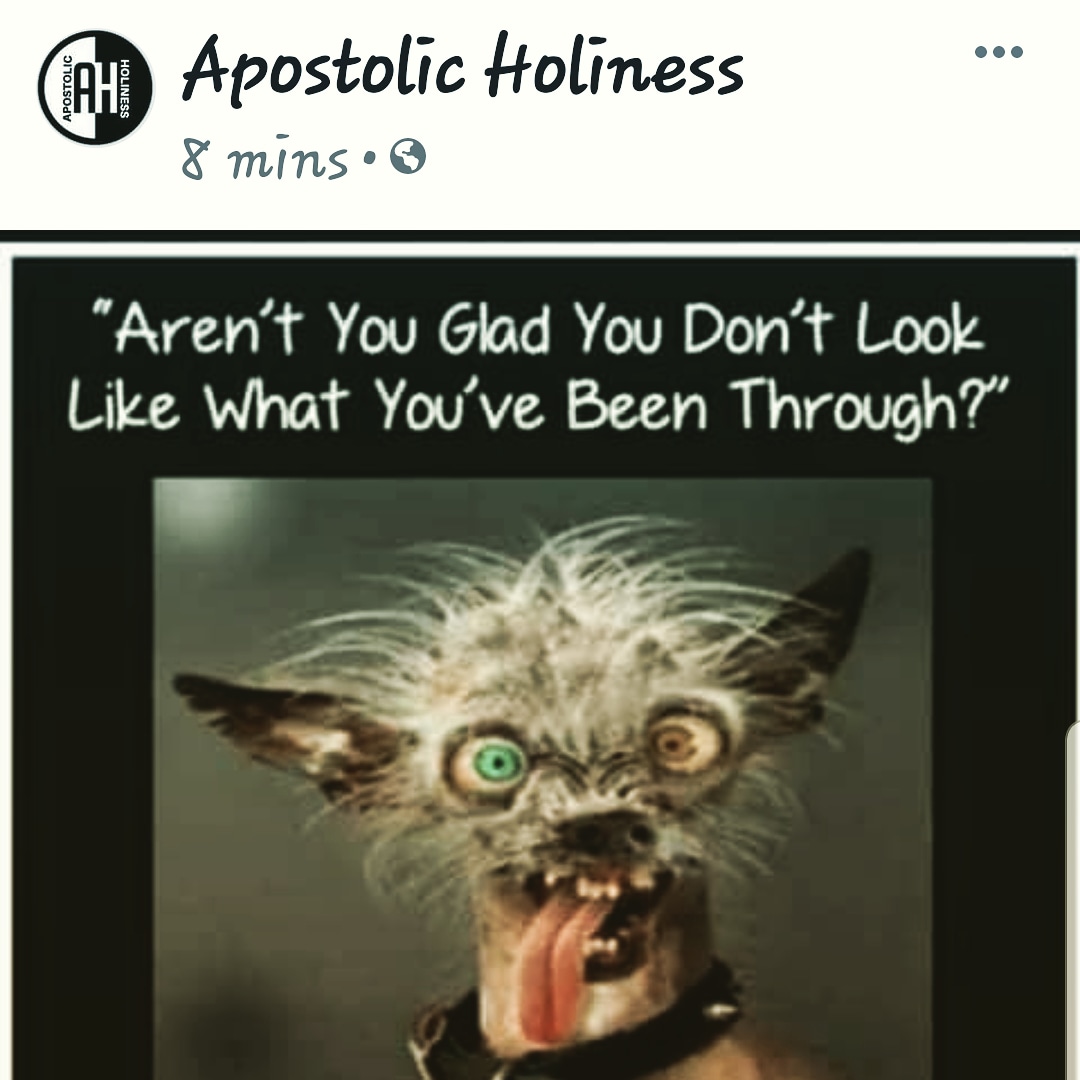 mzsha87's tweet photo. I thank #God for #keepingme  #idontlooklikewhativebeenthrough #churchhumor #Sunday #happysunday
#blessed https://t.co/fwQ4gjSUkK