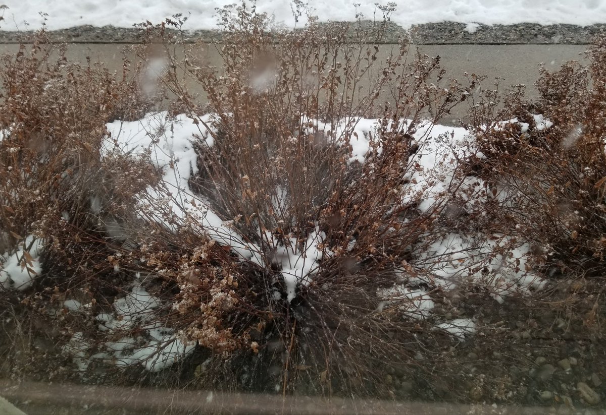 takeofthetiek's tweet photo. Happy December #wintertime https://t.co/AzkU4VTdDe
