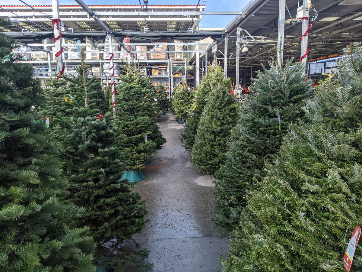 WalczykJustian's tweet photo. Tree lot success!!! #3210 Loud and proud!!!! https://t.co/98Yhrk3NtI