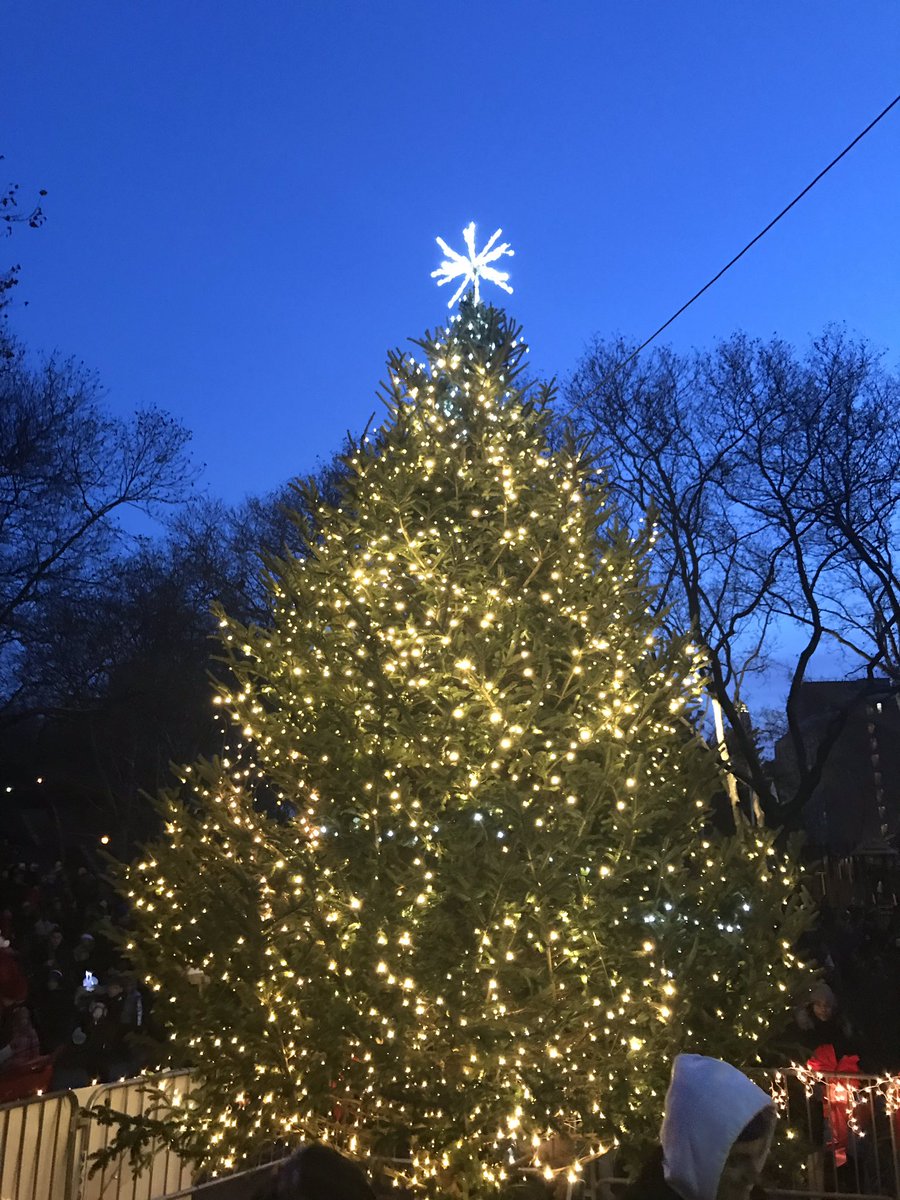 #HappeningNow The 6th annual #FortGreene Tree🎄Lightning @NYPD88Pct @NYPDBklynNorth @MyrtleAveBklyn @NYCParks