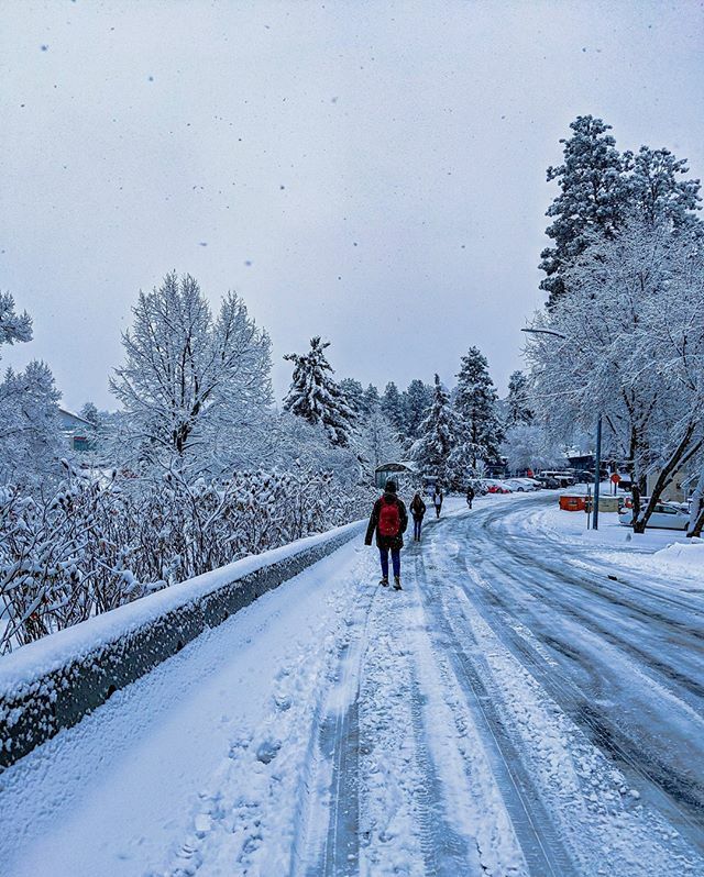 TRU World 🌎 tweet media