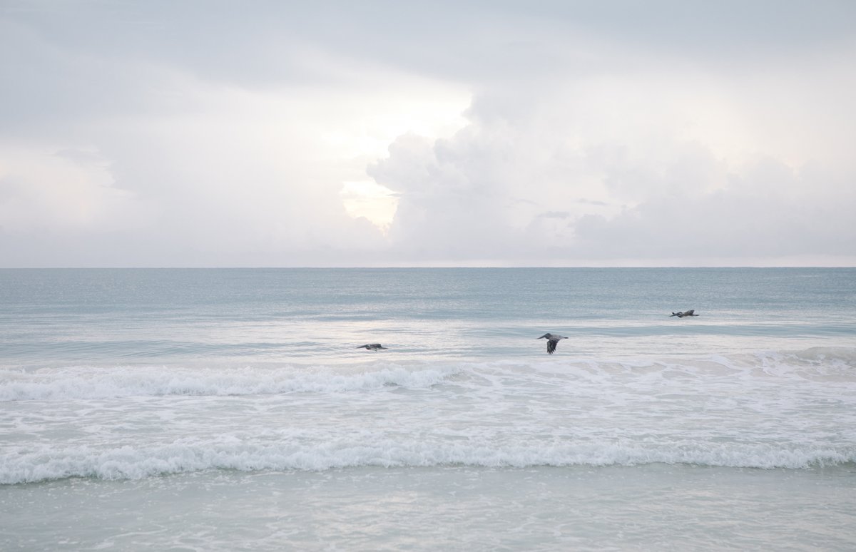 NestTulum's tweet photo. Acceptance looks like a passive state, but in reality, it brings something entirely new into this world. That peace, a subtle energy vibration, is consciousness. #EckhartTolle
#nesttulum #naturalsimplicity #nestbeach #tulumbeach #tulumhotel #inpirationalquotes #beachhotel https://t.co/Eydlp6Adtf