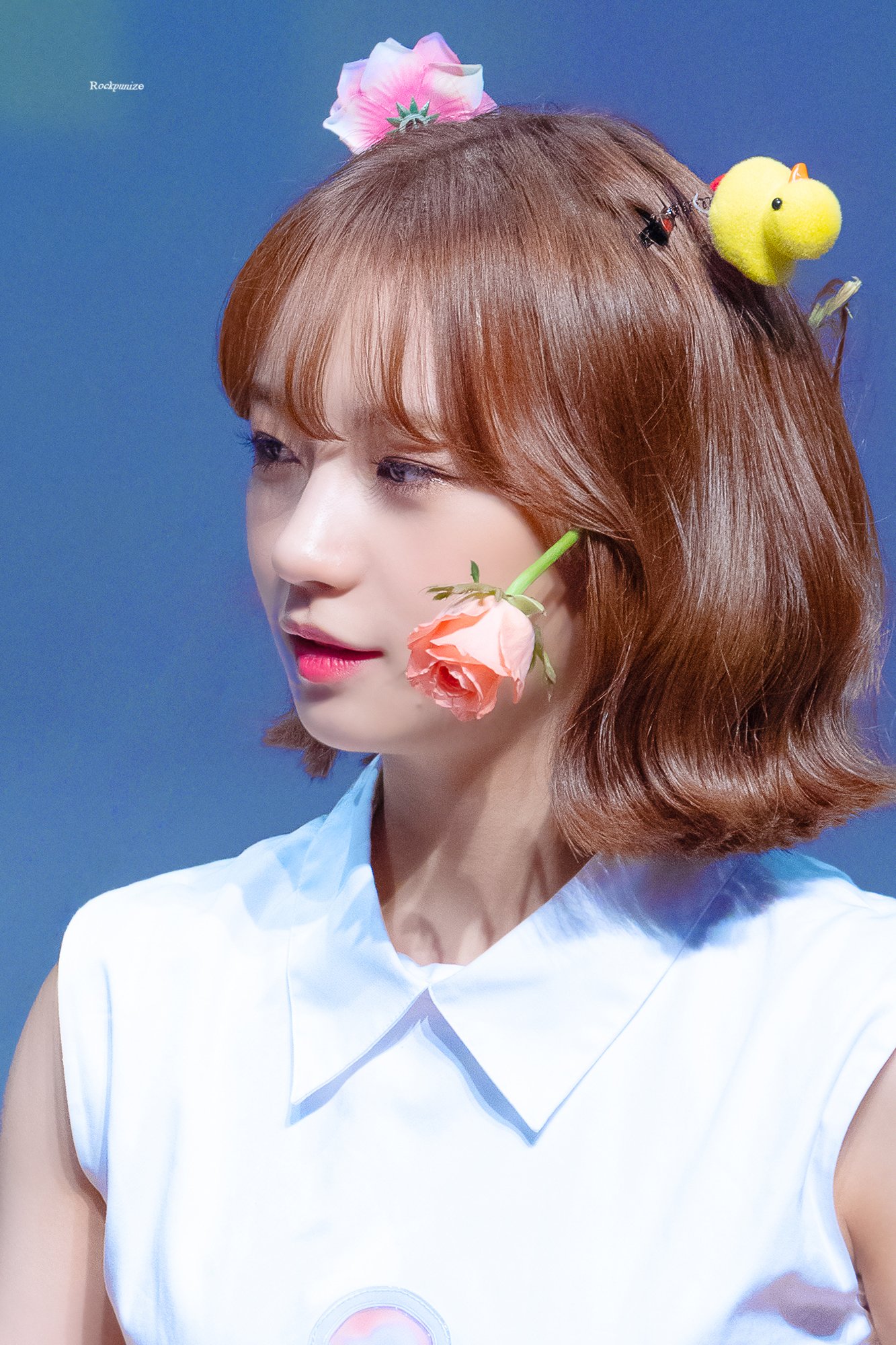 ELSBfv1UcAA5qlE?format=jpg&name=large