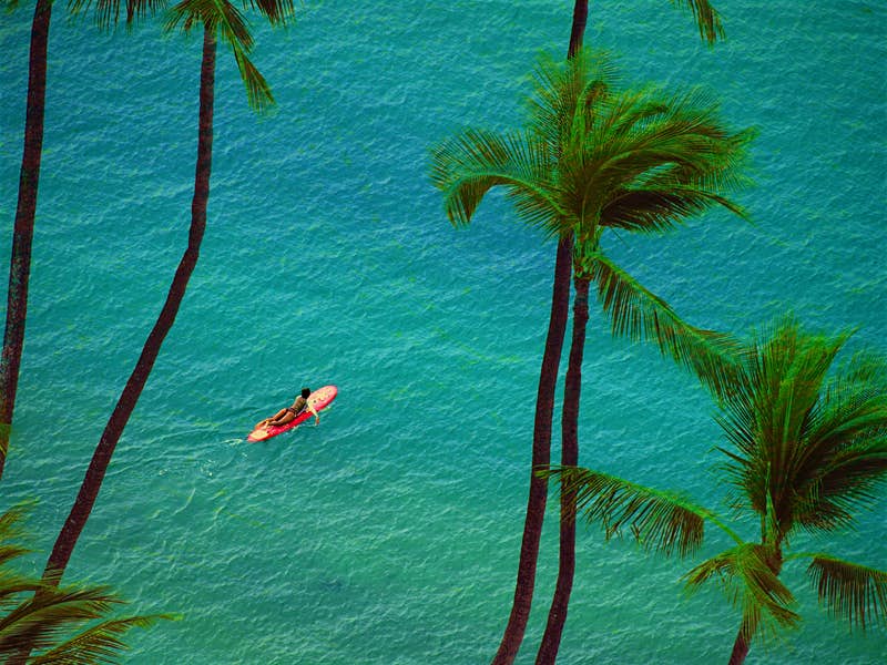 lonelyplanet's tweet photo. Never been to Hawaii? Here's how to choose an island - https://t.co/SBB1KomE7u https://t.co/M4mCU23sPT