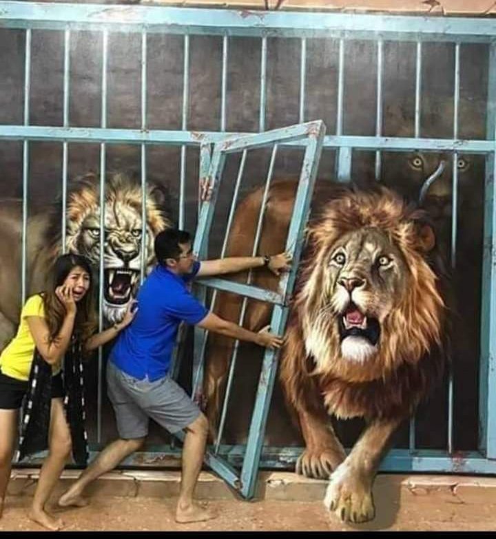 🌲Mr. Cheers 🛞 ASIWAJU Baby tweet media