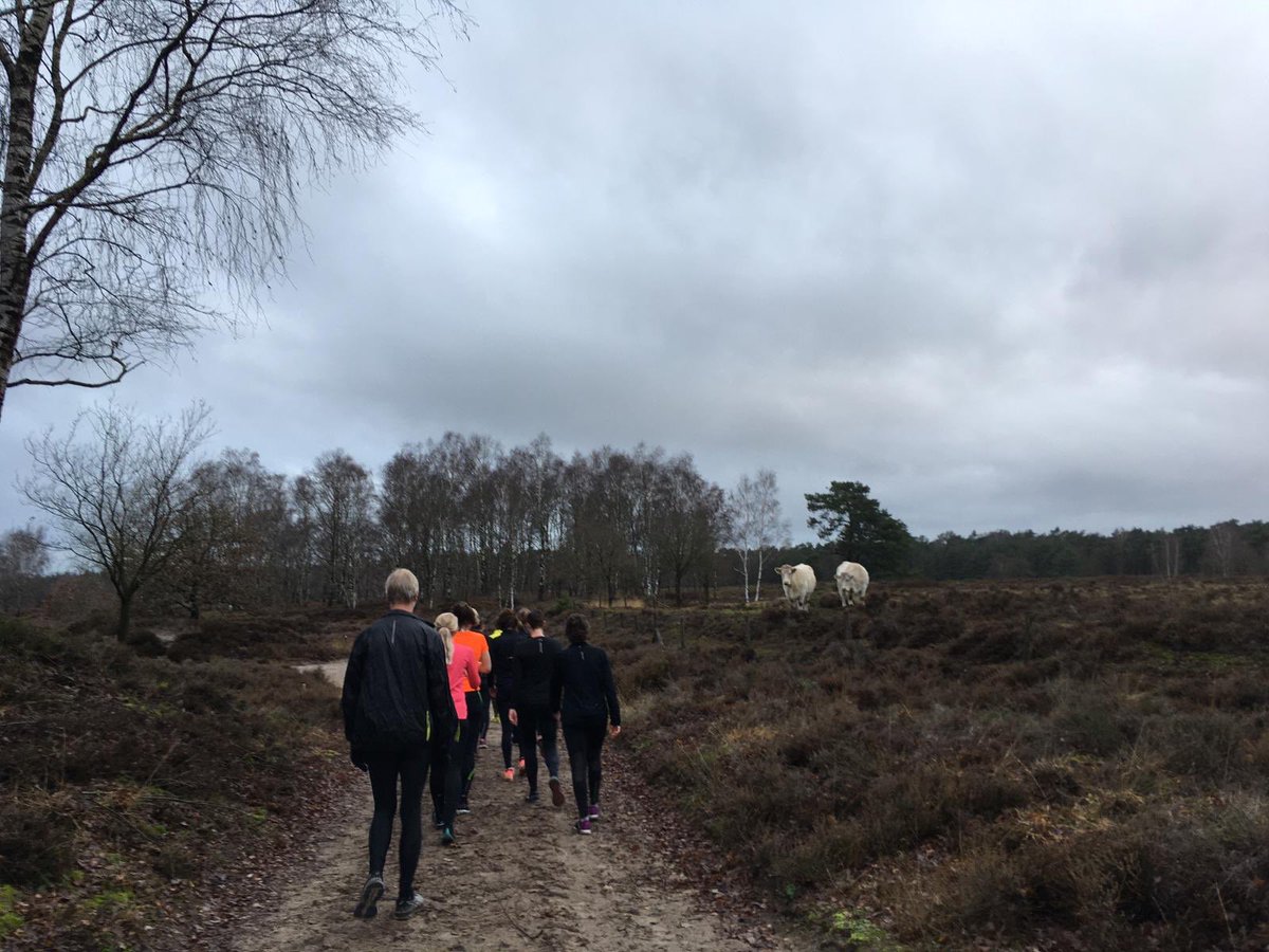 NienkeOnnen's tweet photo. Dit weekend weer lekker hardgelopen over heideveld #destulp. Prachtige natuur in mijn achtertuin #mijnnatuurblijft https://t.co/7k83nKILbE