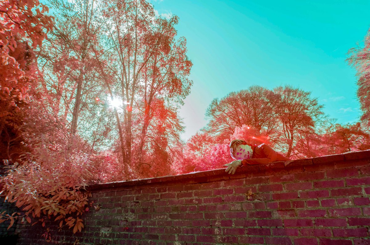 KernowChrome's tweet photo. Escaping Scarecrow, Trengwainton Garden, West Cornwall   #infrared #infraredphoto #infraredphotography #aerochrome #cornwall  #trengwainton https://t.co/CCouDpSjMY