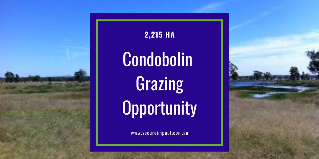 Secure Impact tweet media