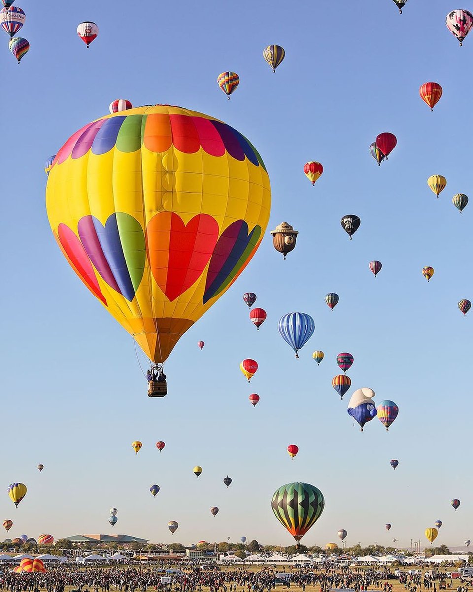 smokey_bear's tweet image. Whether I have my paws on the ground or my head is in the sky, I’ll always have safety on my mind. #SmokeyBear75

📷#localadventurer @estherjulee