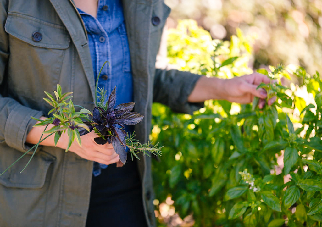 Even in chilly December, you can bring lively, bright flavors to the table by incorporating fresh herbs in your meal. Pick some up at the farmers market this weekend!