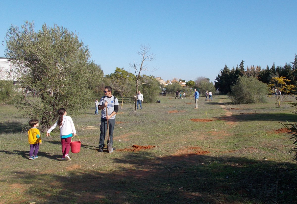 SOSterritorios's tweet photo. 🌄🌱Prometedor, muy prometedor‼️
Reforestar también es educar en valores, en el amor por la Naturaleza y el #MedioAmbiente✅
Compartir y disfrutar plantando en grupo, en familia, entre amigos.
Por imágenes como estas, una parte de nuestro corazón seguirá latiendo en Palomares💚🌳 https://t.co/Zzp0jTt87v