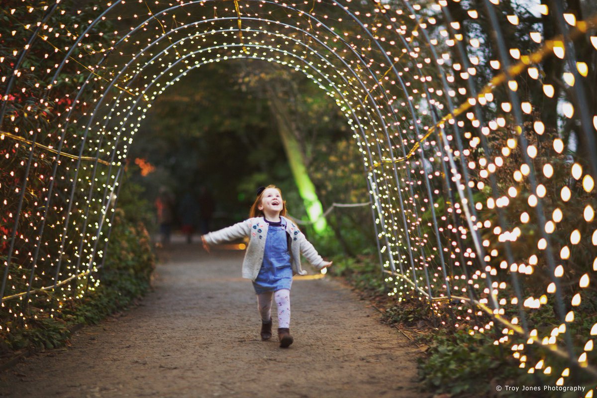 UKtroy's tweet photo. Grace enjoying Enchanted Saltram @nationaltrust #placesmatter #tunneloflights #christmas2019 https://t.co/yIzkESDKXc