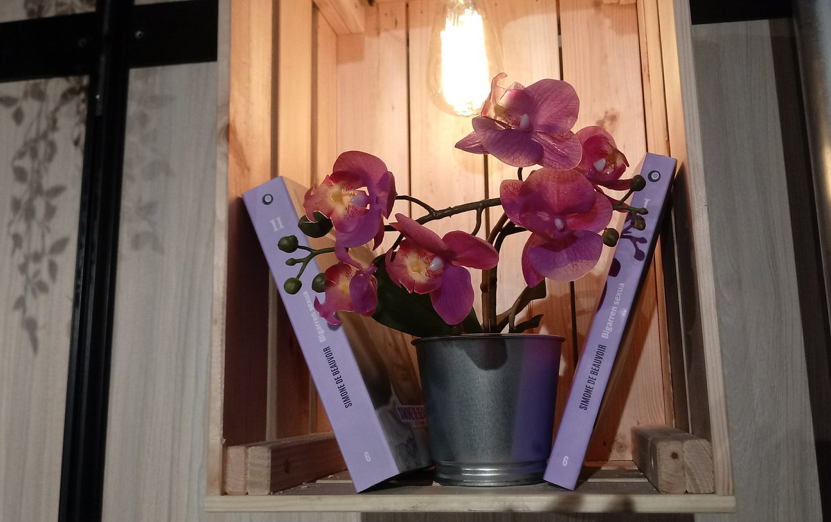 MAsensioLozano's tweet photo. Orain urte gutxira arte pentsaezina zen @durangokoazoka-n hainbeste emakume feministaren jakinduriaz eta konplizitateaz gozatzea, eta euren lanak euskaraz plazan ikustea. Une zirraragarriak bizi izan ditugu gaur ere. Eskerrik asko denoi! 💜 https://t.co/nRqfsonPpP