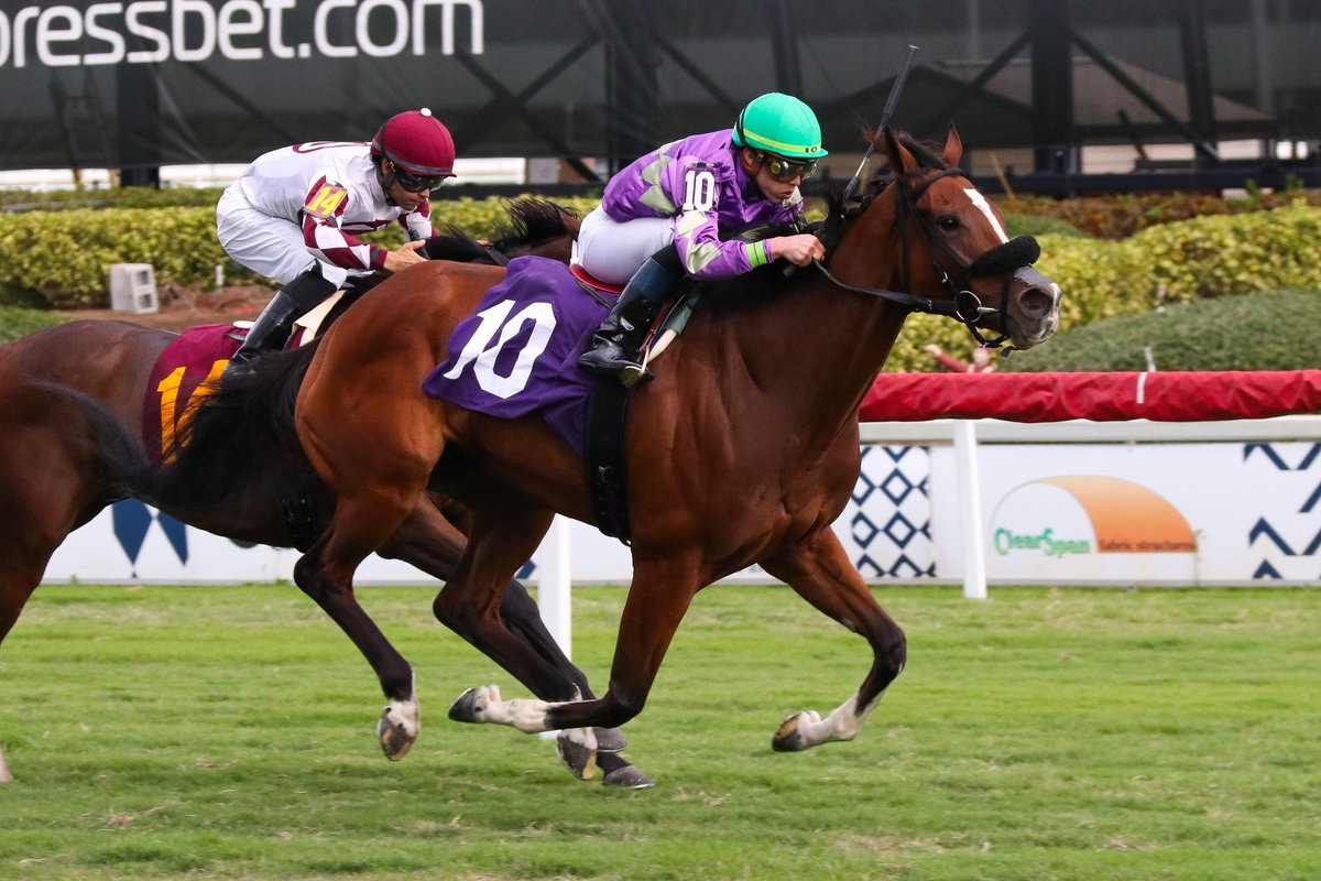 GulfstreamPark's tweet photo. Shifty She gets the job done in race 6, @iradortiz scores a Hat Trick, Lilli Kurtinecz is the winner conditioner. #GulfstreamPark #ChampionshipMeet https://t.co/6kOXFzwljP