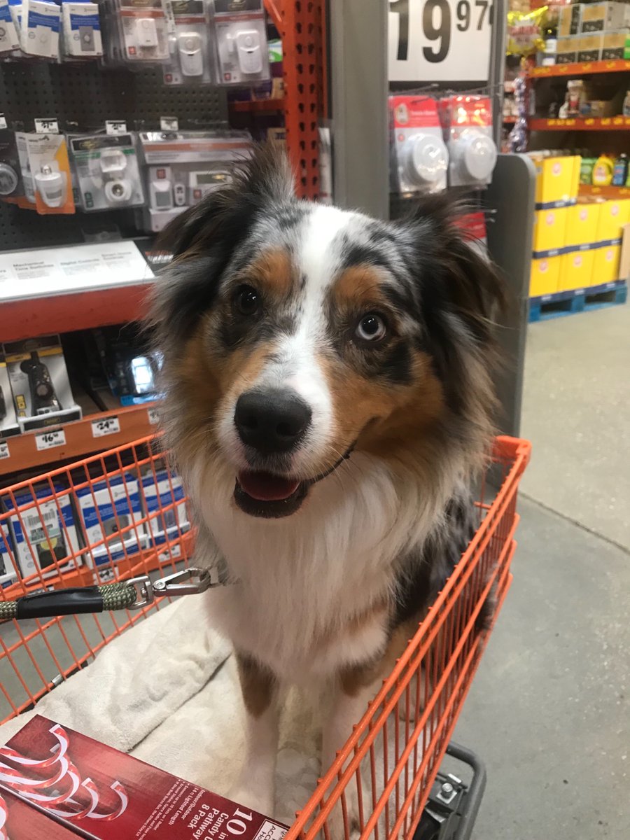 Sam Tully tweet media