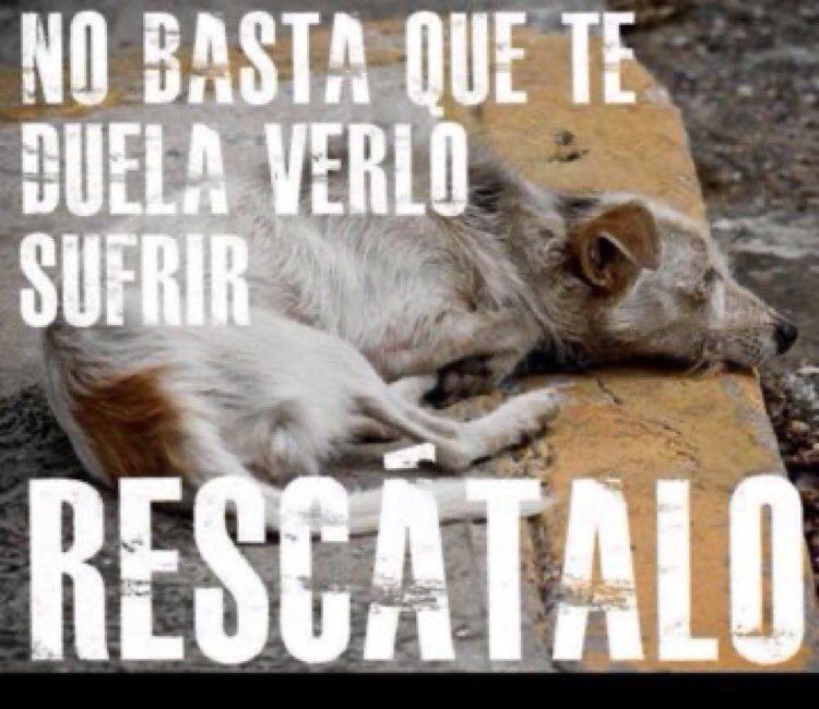 Gina..🌷 tweet media