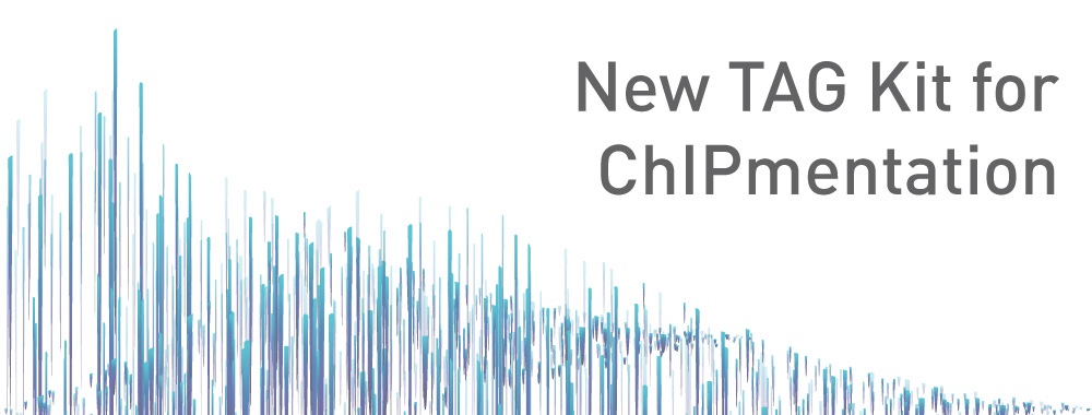 Diagenode's tweet photo. .Diagenode exclusive: #tagmentation-based #ChIPmentation integrates ChIP and library prep together for easy and efficient #ChIPseq. Visit @diagenode at #ASH19 at booth 1367 https://t.co/Xu4zriS1jD