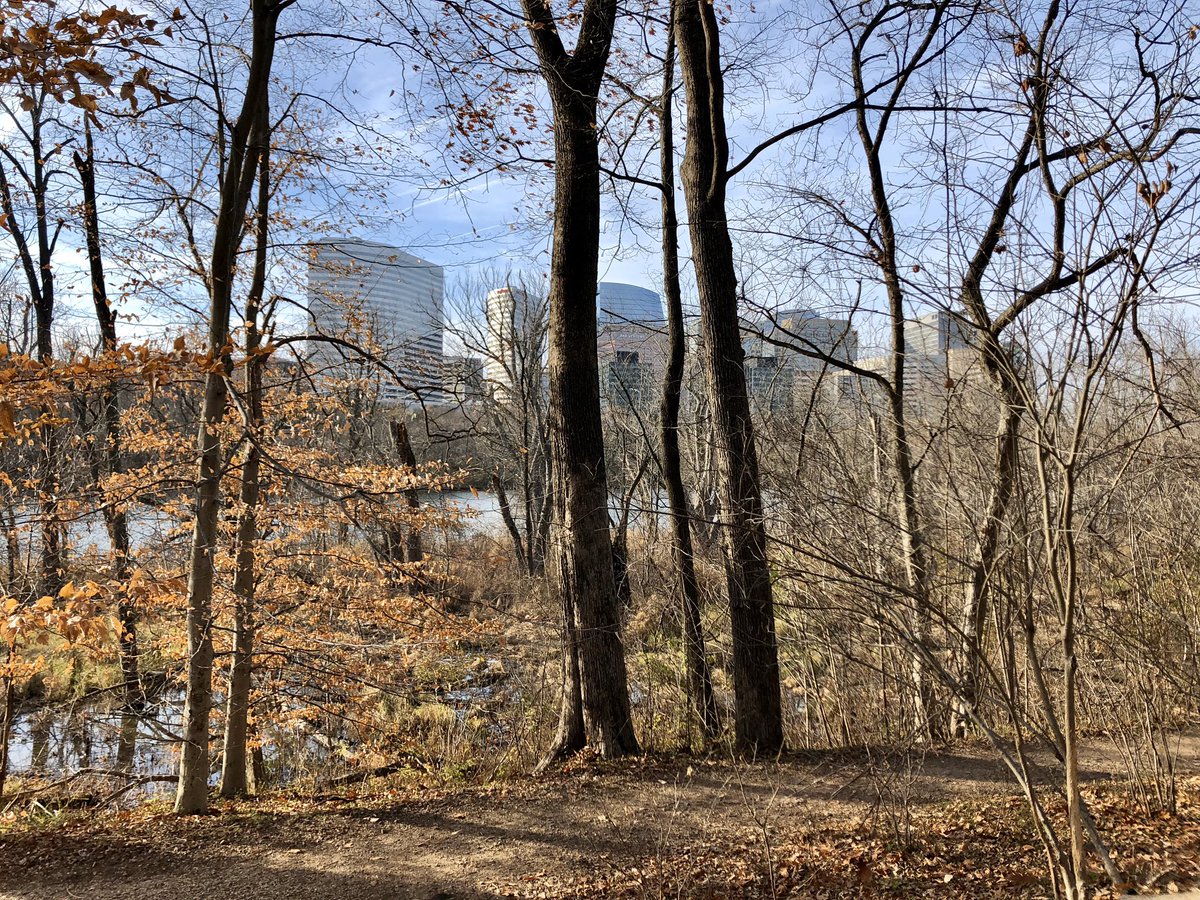 AjitPai's tweet photo. In Potomac River, in shadow of Arlington &amp; Georgetown, is Theodore Roosevelt Island. So much history here—from Dolley Madison’s escape point in 1812 to training ground for 1st U.S. Colored Troops in 1863 to memorial to the 26th President. A perfect day to bike over &amp; take it in. https://t.co/lKEHSQN1y1