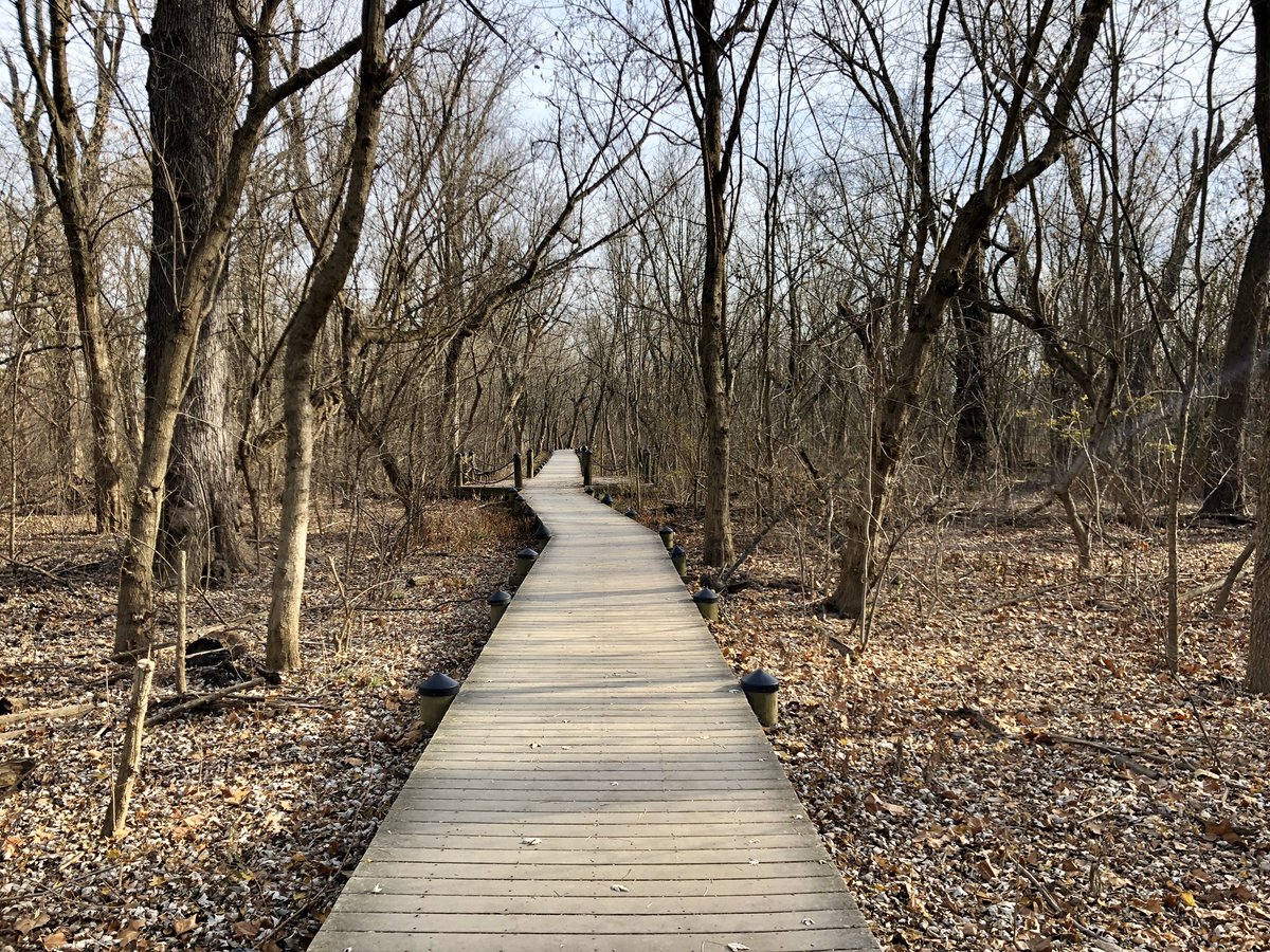 AjitPai's tweet photo. In Potomac River, in shadow of Arlington &amp; Georgetown, is Theodore Roosevelt Island. So much history here—from Dolley Madison’s escape point in 1812 to training ground for 1st U.S. Colored Troops in 1863 to memorial to the 26th President. A perfect day to bike over &amp; take it in. https://t.co/lKEHSQN1y1