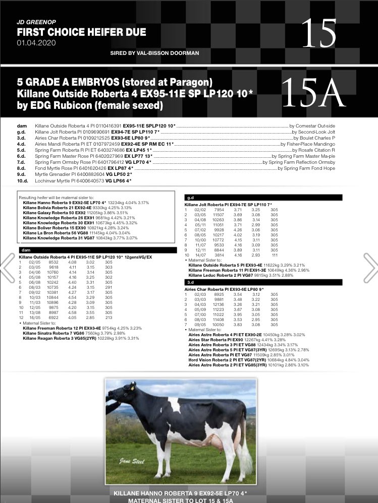 ortongrange's tweet photo. Couldn’t resist #bwsale 🐮 😍👍 https://t.co/sisufRDhdn