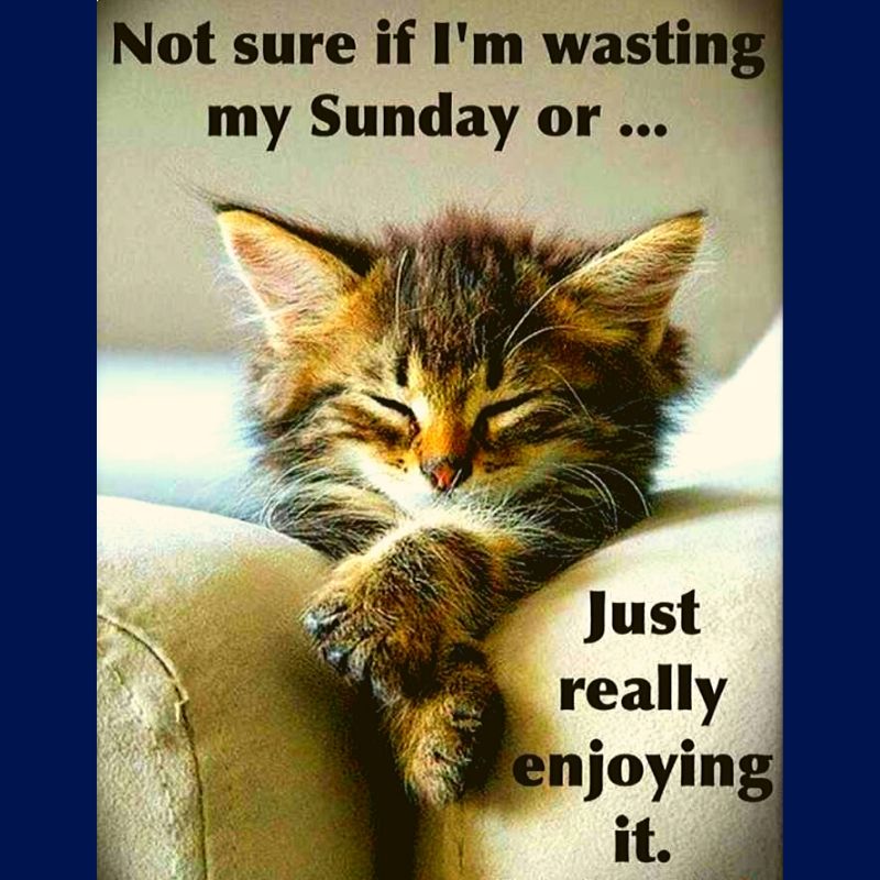 RelatingOnline's tweet image. Enjoy your Sunday until it lasts 😆😀😂
#relax #enjoy #recharge #HaveagreatSunday #happiness #smile #refuel #laugh #rest #liveyourlife