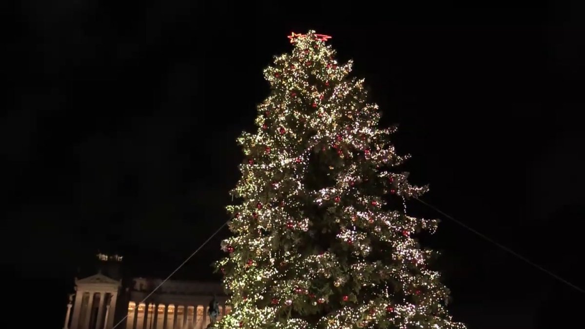 diegoamicucci's tweet image. #Roma @spelacchio #Spelacchio #SpelacchioIsComing è tornato!!! 🎄