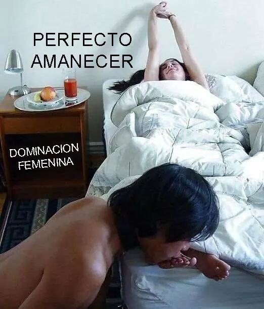 AkiyamaAratani's tweet photo. Lee bien jeje #bdsm #femdom #submissive #bdsmlifestyle #bdsmcolombia #sumiso #humillación #adoración #someterse https://t.co/yYdU7kJ0q3