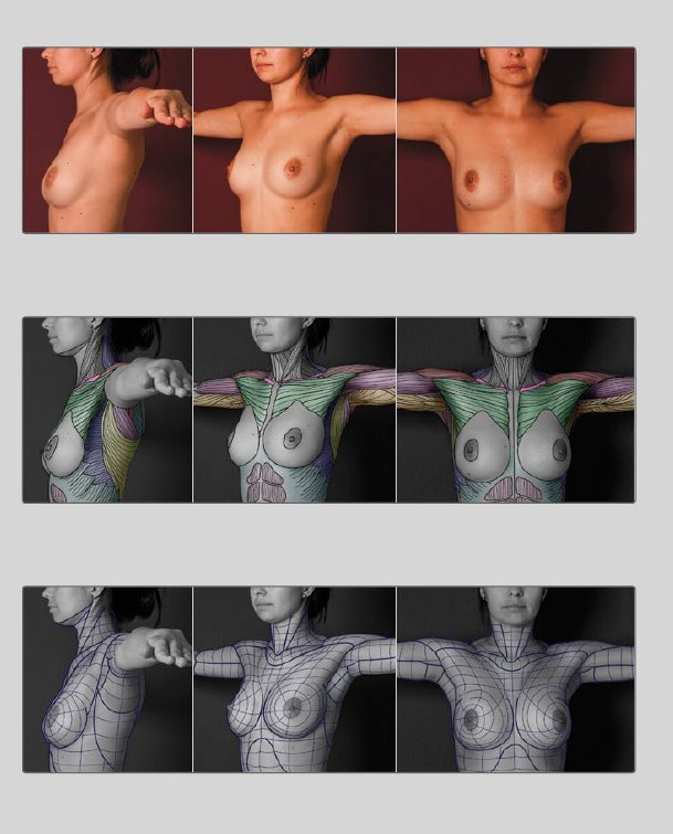 nasirgan's tweet photo. Existe un libro para aprender a dibujar Anatomía que se llama "Anatomy for sculptors" que es muy bueno. Yo siempre lo recomiendo. https://t.co/o6n01quHsh