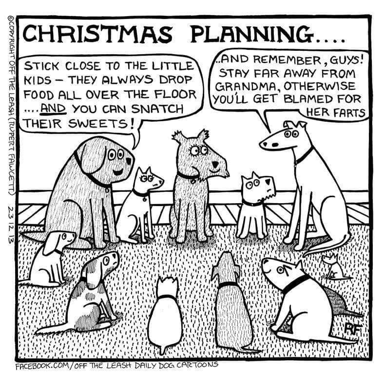 Christmas planning #DogCelebration