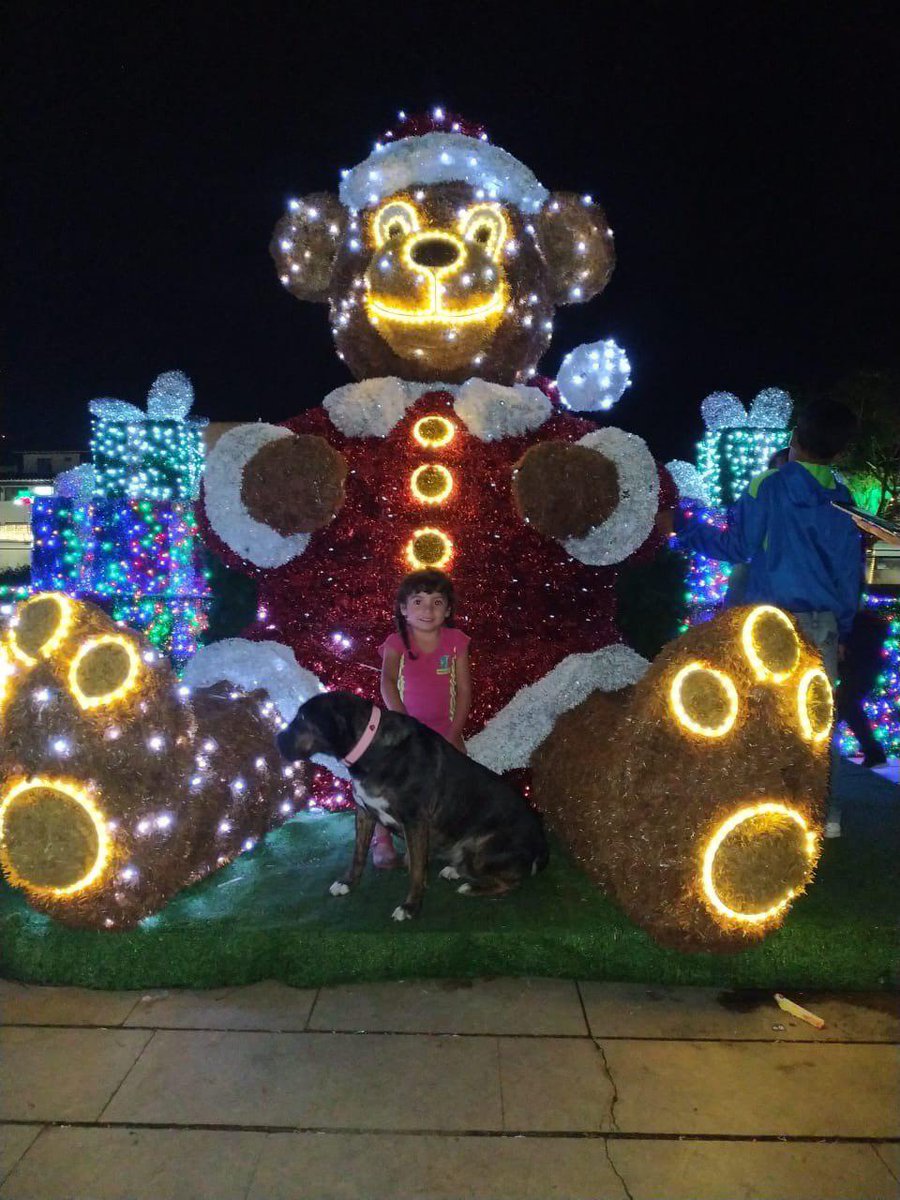 AlcRionegro's tweet photo. 🎅La magia de la Navidad se siente en nuestra Plaza de la Libertad.🌃 ¡Ven a visitarla!⛄🎄 #RionegroSeIlumina https://t.co/UsSapM2fBh