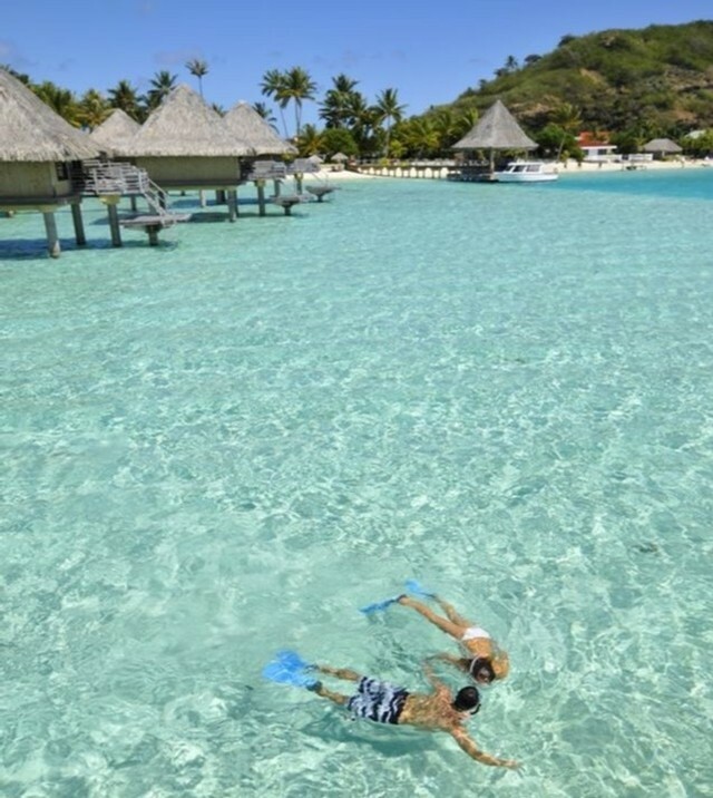 ICFr_Polynesia's tweet photo. Perfect spot to do snorkelling ! 📷 : Massujima
https://t.co/4EhL8X79jo
#ICMoana #islandlife #pacific #landscape #tropicalsetting #uniqueexperience #InterContinentalLife #FrenchPolynesia #travel #resort #enjoypolynesia #paradise #dreamescape #discoverpolynesia #islandescape … https://t.co/a633qke2zn