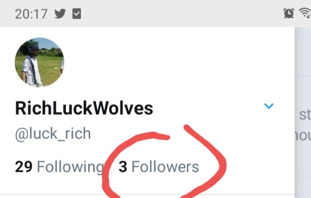 RichLuckWolves tweet media