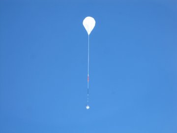 XL-Calibur tweet media