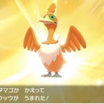 うのみポケモンのウッウの色違いが伝説のポケモンホウオウに似すぎて笑いが止まらない