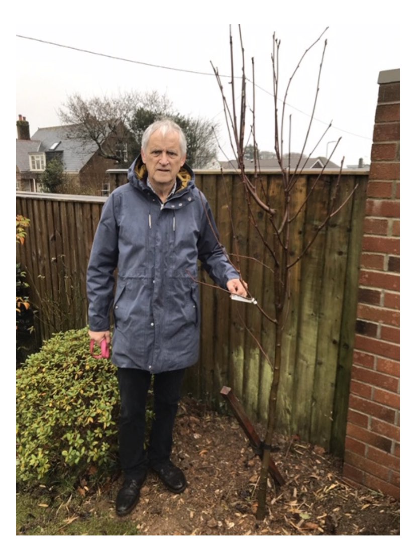 eco_swa's tweet photo. 4 more trees join the Sam Whit Forest: Pear, apple, Mountain Ash and Cornus. Thank you to the amazing Jane and Nigel Burnett for their support in meeting our 2020 target. #SWAFightingBack #EveryTreeCounts https://t.co/QclCSktgLF