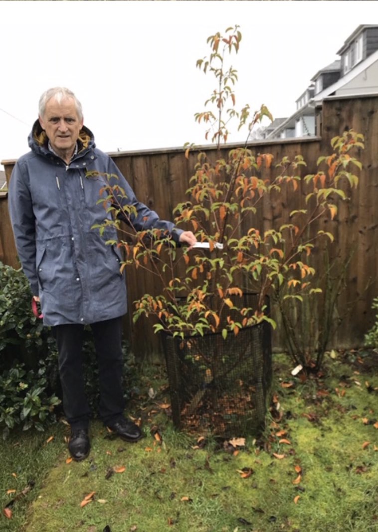 eco_swa's tweet photo. 4 more trees join the Sam Whit Forest: Pear, apple, Mountain Ash and Cornus. Thank you to the amazing Jane and Nigel Burnett for their support in meeting our 2020 target. #SWAFightingBack #EveryTreeCounts https://t.co/QclCSktgLF