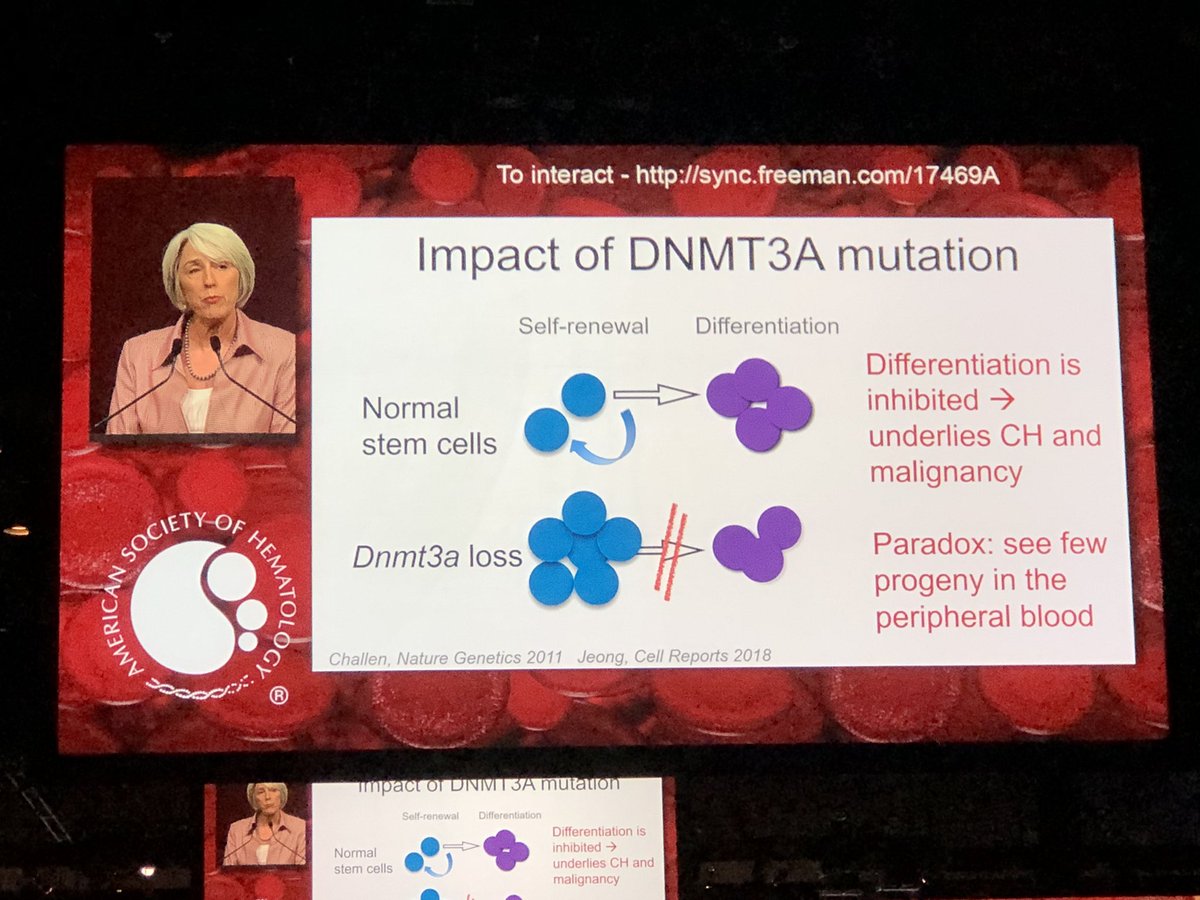 doctorpemm's tweet photo. #ASH19 #PlenarySessionASH19 Dr Peggy Goodell @Goodell_Lab 👉👉👉Brilliant introduction overview slides in Plenary session. #DNMT3a #inflammation #CHIP #TNF #RANTES #IFN #mCSF || #MDSsm #CMMLsm #Leusm #MPNSM @ASH_hematology https://t.co/kumPe4lQel