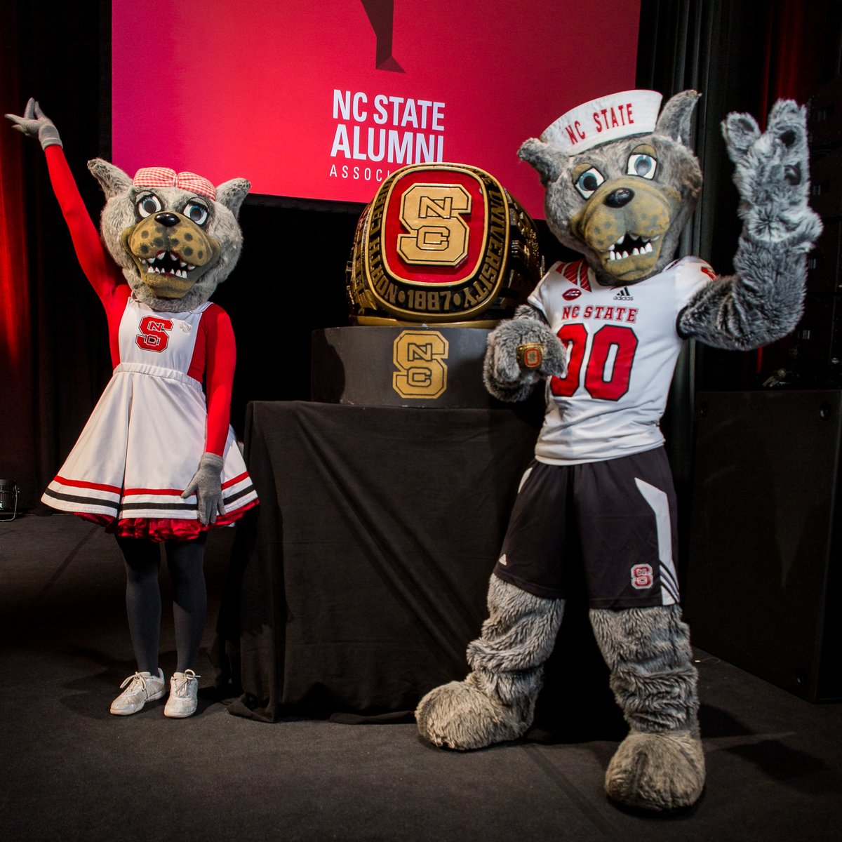 NCStateSAA's tweet photo. 3 days until some members of the Pack can cross this tradition off their list! Alexa, play Big Rings by Drake. ๐บ๐๐ #NCStateSAA #RingCeremony #HowlBack https://t.co/G1ifWR5NJu
