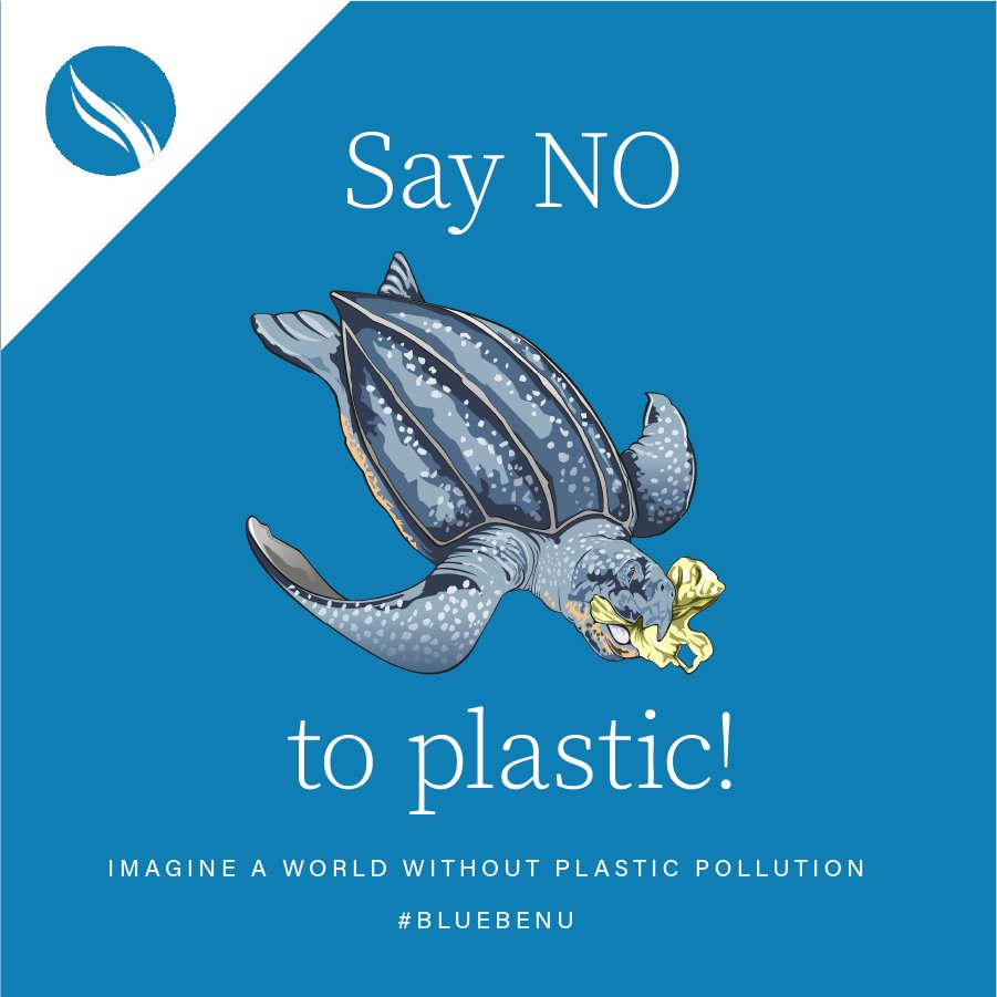 BlueBenu's tweet photo. Over 1 million marine animals are killed each year due to plastic pollution in the ocean #savetheplanet #liveplasticfree #bluebenu #plasticpollution https://t.co/cVoAObS7hz
