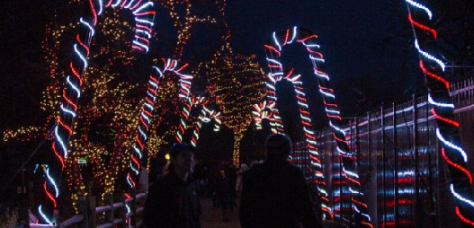 NCAChicago's tweet photo. Check out the @GLChicago Chicago Holiday Lights Tour featuring Lincoln Park Zoo Lights &amp; Christkindlmarket. Buy your tickets before they sell out!! #chicago #holidayseason #lights #Christmas #ncachicago #concierge #family @NCAChicago @NCANational  https://t.co/qeKoQQpm7Y https://t.co/nwzZt39m2F
