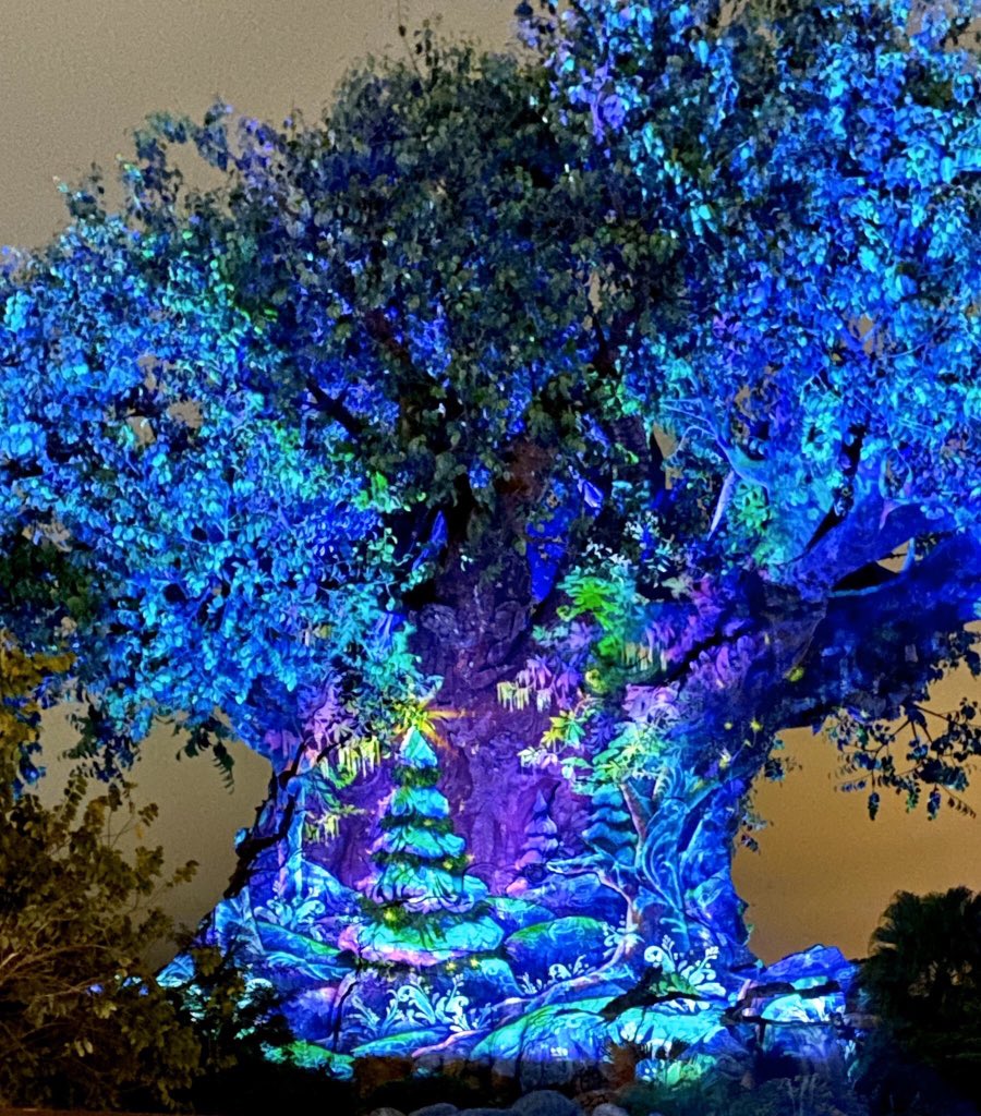 AttractionPics's tweet photo. Tree of Life! 
📷; @KellyBu10411046 https://t.co/B63imvAnjc