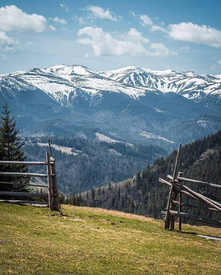 Dmitro (@dbrovchuk) on Twitter photo 