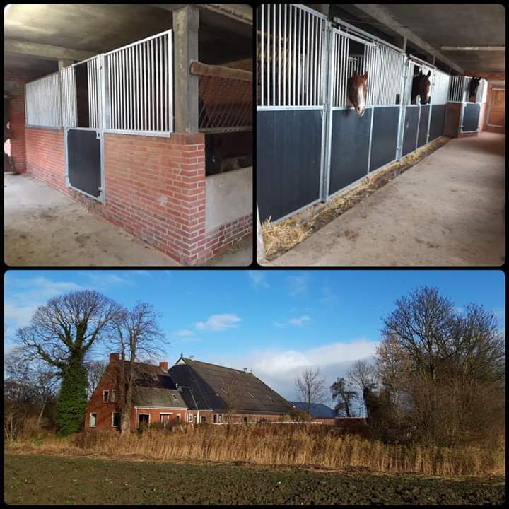kingAntoon's tweet photo. Na een paar weken klussen in en om het huis, zijn we dan eindelijk verhuisd. #loppersum https://t.co/3Q0FFQMoQM