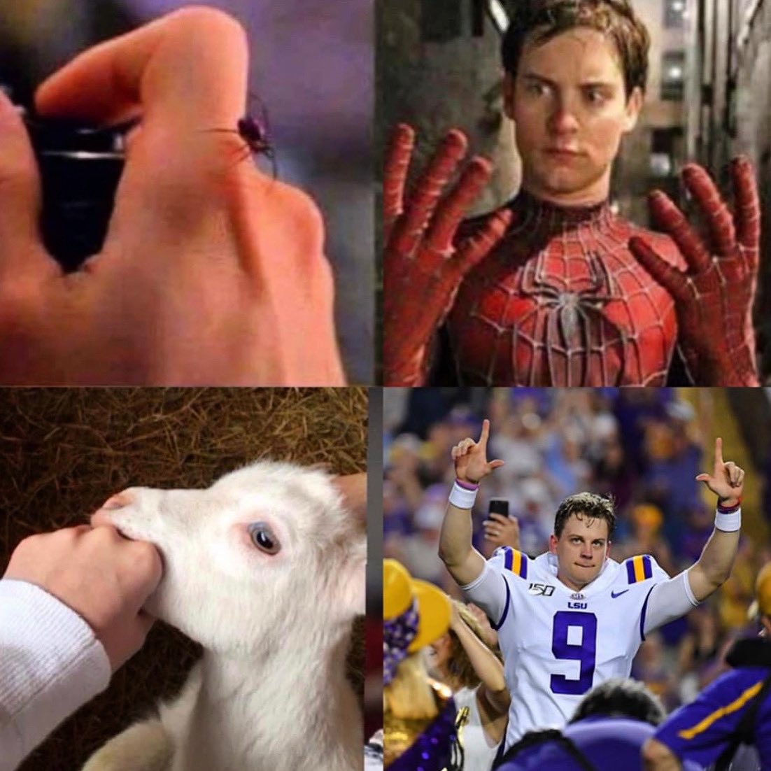 Parish County Line tweet media